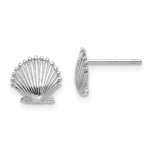 Image of 8.02mm 14K White Gold Scallop Shell Stud Post Earrings TE633W
