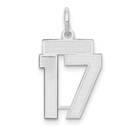 Image of 14K White Gold Small Satin Number 17 Charm