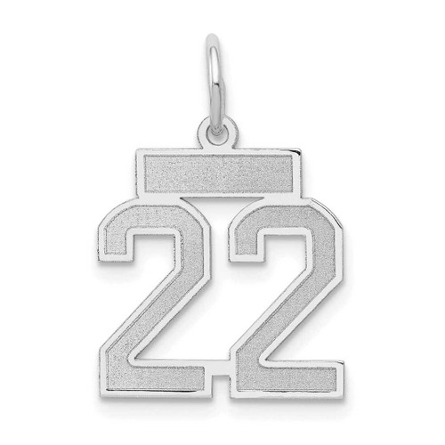 Image of 14K White Gold Small Satin Number 22 Charm