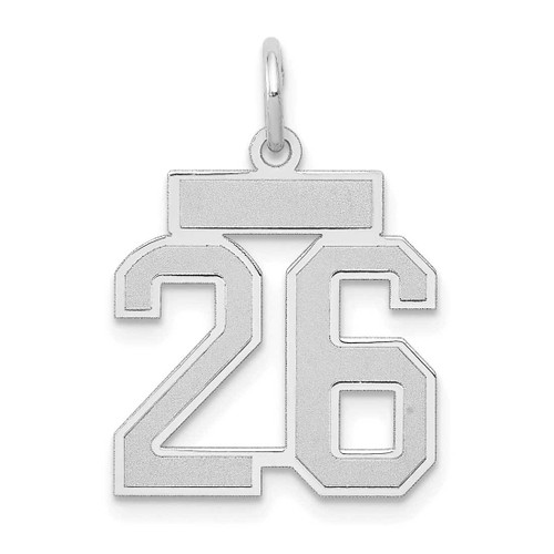 Image of 14K White Gold Small Satin Number 26 Charm