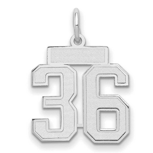 Image of 14K White Gold Small Satin Number 36 Charm