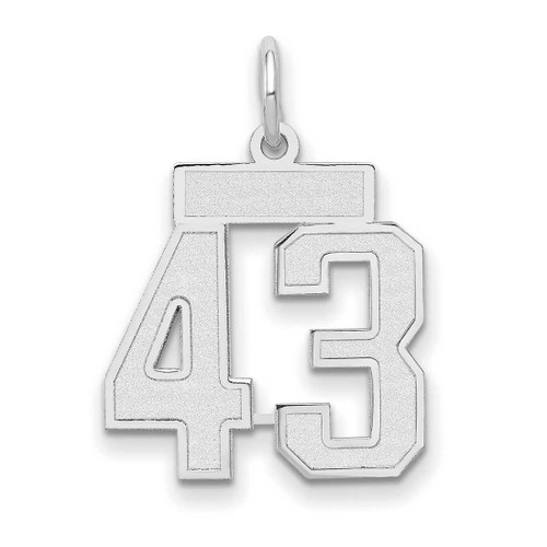 Image of 14K White Gold Small Satin Number 43 Charm
