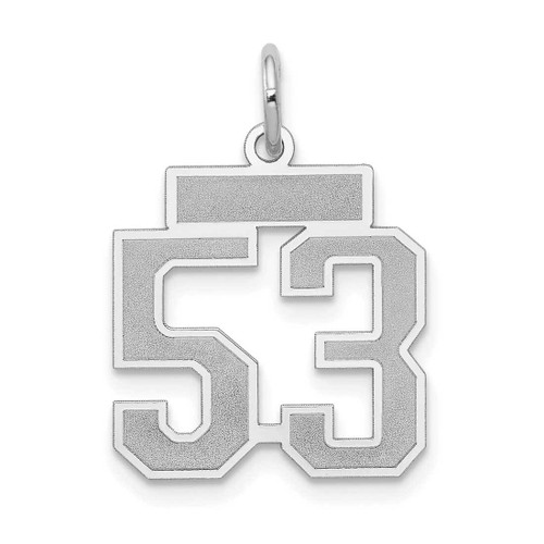 Image of 14K White Gold Small Satin Number 53 Charm