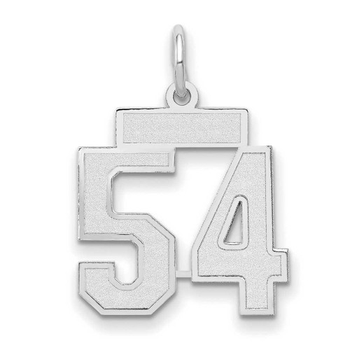 Image of 14K White Gold Small Satin Number 54 Charm