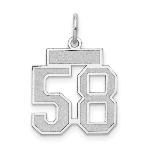 Image of 14K White Gold Small Satin Number 58 Charm