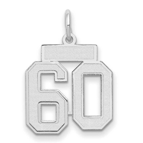 Image of 14K White Gold Small Satin Number 60 Charm