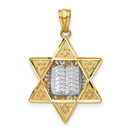 Image of 14K Yellow & White Gold Star Of David w/ Torah Pendant