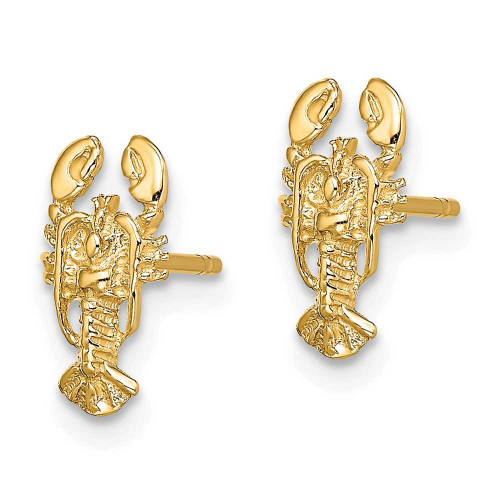 Image of 10.7mm 14K Yellow Gold 2-D Lobster Stud Earrings