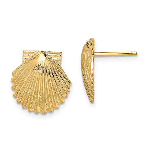 Image of 12.45mm 14K Yellow Gold 2-D Polished Scallop Shell Stud Earrings