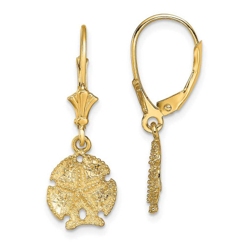 Image of 26.6mm 14K Yellow Gold 2-D Sand Dollar w/ Star Leverback Earrings