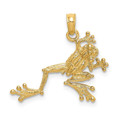 Image of 14K Yellow Gold 2-D Textured Frog Pendant K6481