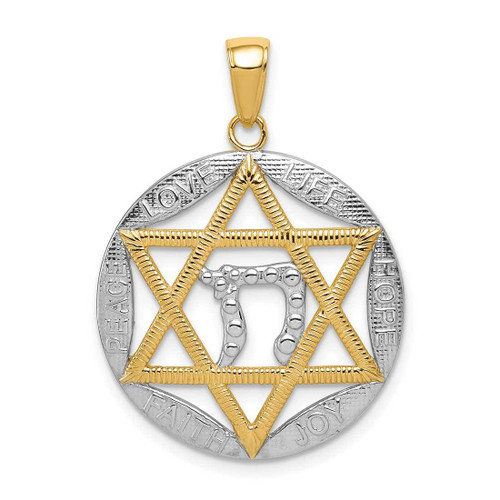 Image of 14K Yellow Gold and Rhodium Polished Jewish Star with Chai In Round Pendant