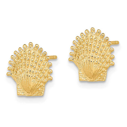 Image of 10.4mm 14K Yellow Gold Beaded Scallop Shell Post Earrings TE766