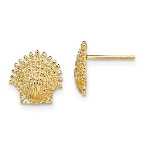 Image of 10.4mm 14K Yellow Gold Beaded Scallop Shell Post Earrings TE766