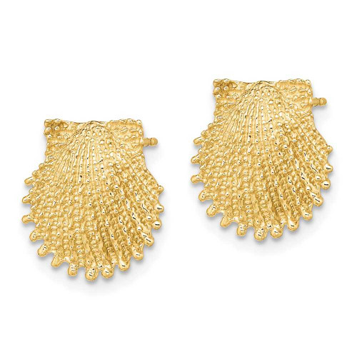 Image of 13.4mm 14K Yellow Gold Beaded Scallop Shell Post Earrings TE767