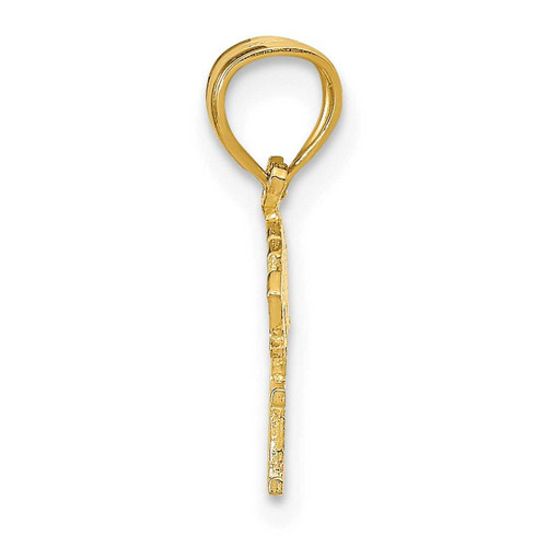 Image of 14K Yellow Gold Born To Win Pendant