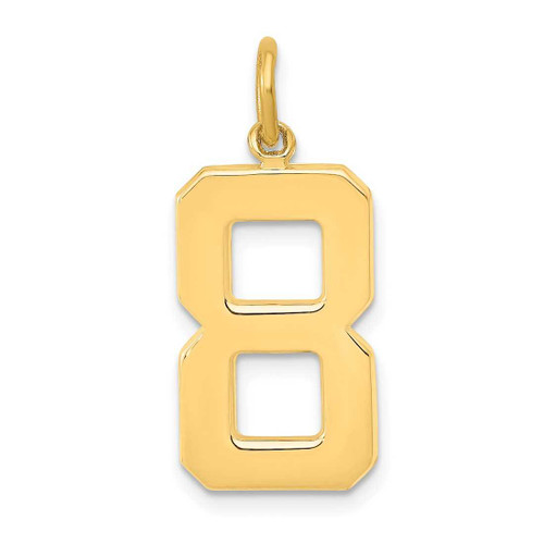 Image of 14K Yellow Gold Casted Large Polished Number 8 Charm