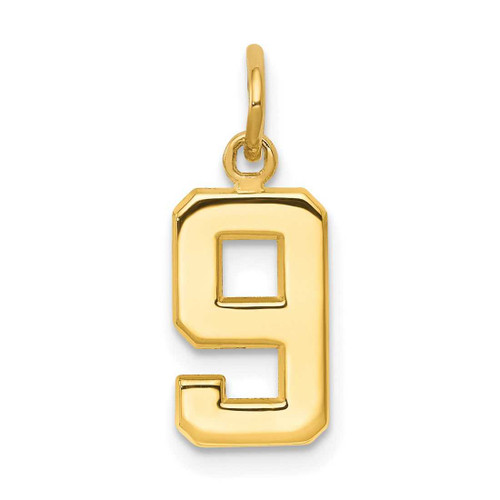 Image of 14K Yellow Gold Casted Small Polished Number 9 Charm