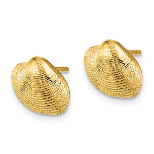 Image of 9.1mm 14K Yellow Gold Clam Shell Post Earrings TE787