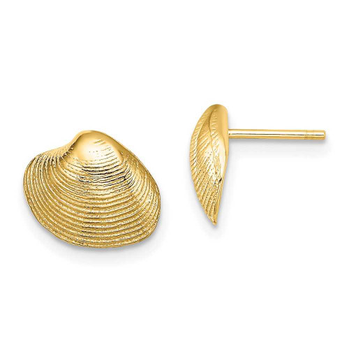 Image of 9.1mm 14K Yellow Gold Clam Shell Post Earrings TE787