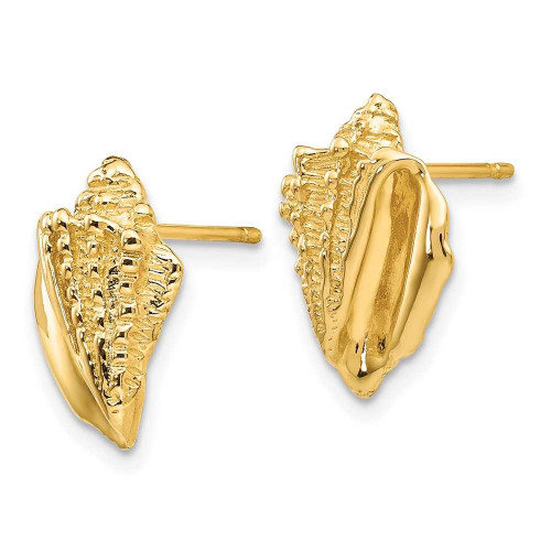 Image of 15mm 14K Yellow Gold Conch Shell Earrings