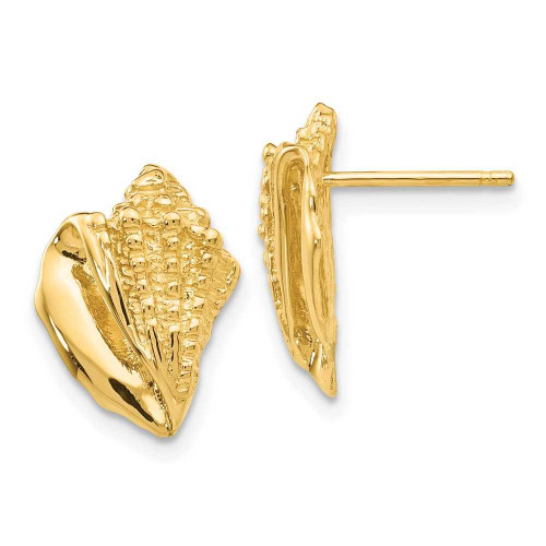 Image of 15mm 14K Yellow Gold Conch Shell Earrings