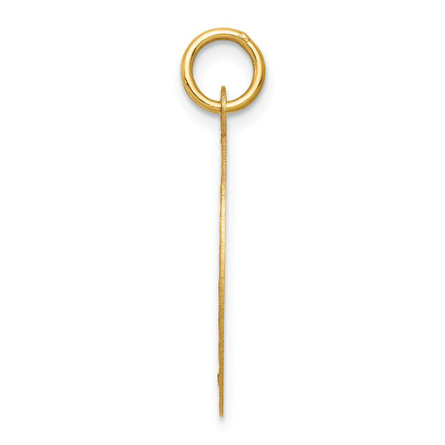 Image of 14K Yellow Gold Confirmation Disc Charm