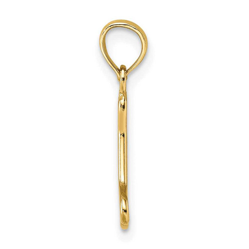 Image of 14K Yellow Gold Cut-Out & Polished Mini Dog Bone Pendant