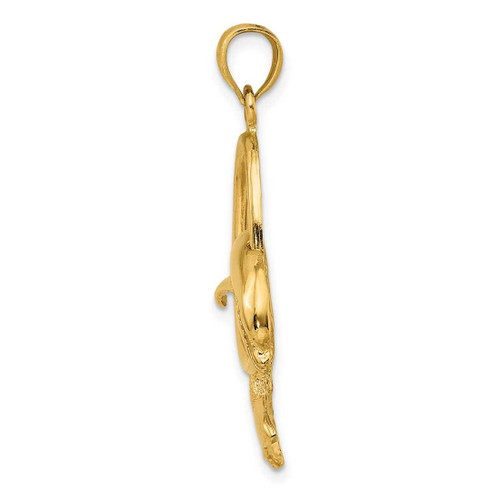 Image of 14K Yellow Gold Dolphin Jumping Through Hoop Pendant