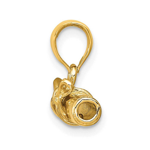 Image of 14K Yellow Gold Hollow Polished Diploma Pendant