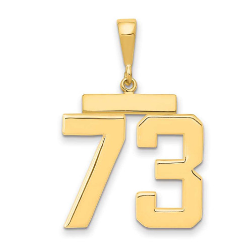Image of 14K Yellow Gold Large Polished Number 73 Charm