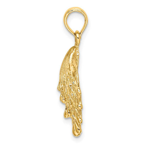 Image of 14K Yellow Gold Lions Paw Shell Pendant K7965