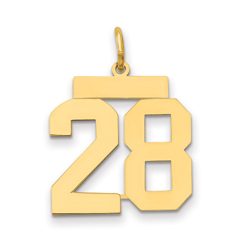 14K Yellow Gold Medium Polished Number 28 Charm LM28