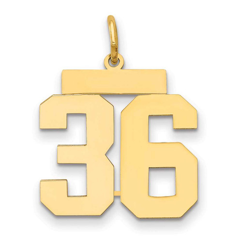 Image of 14K Yellow Gold Medium Polished Number 36 Charm LM36