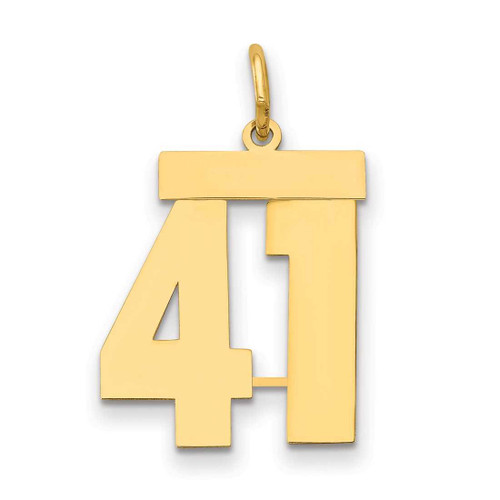 Image of 14K Yellow Gold Medium Polished Number 41 Charm LM41