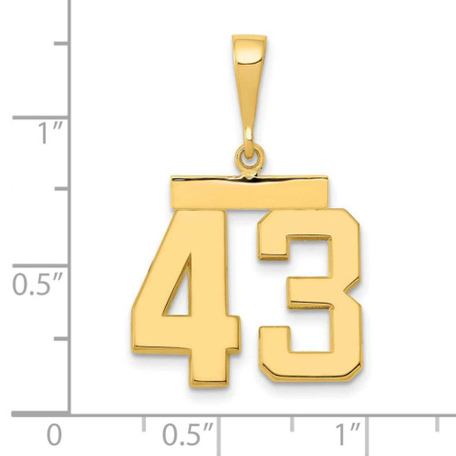 Image of 14K Yellow Gold Medium Polished Number 43 Pendant MP43