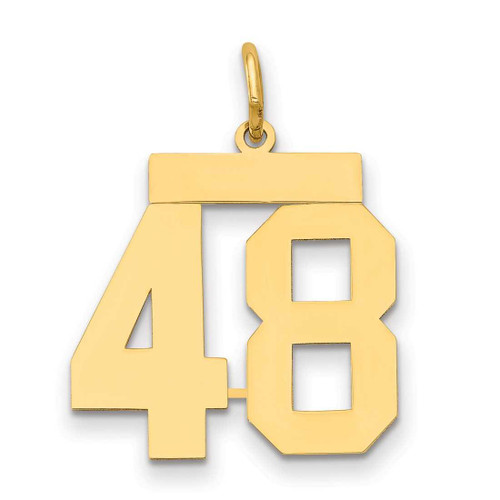 Image of 14K Yellow Gold Medium Polished Number 48 Charm LM48
