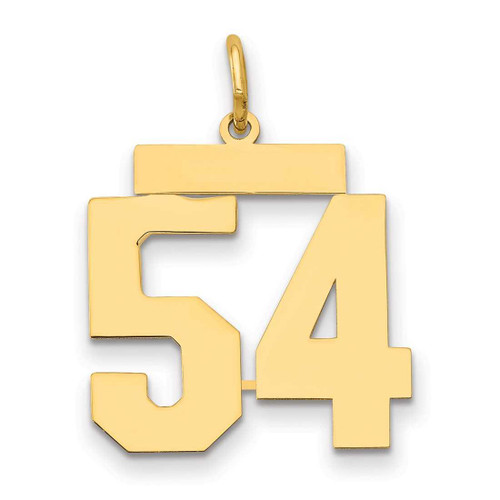 Image of 14K Yellow Gold Medium Polished Number 54 Charm LM54