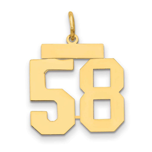 Image of 14K Yellow Gold Medium Polished Number 58 Charm LM58