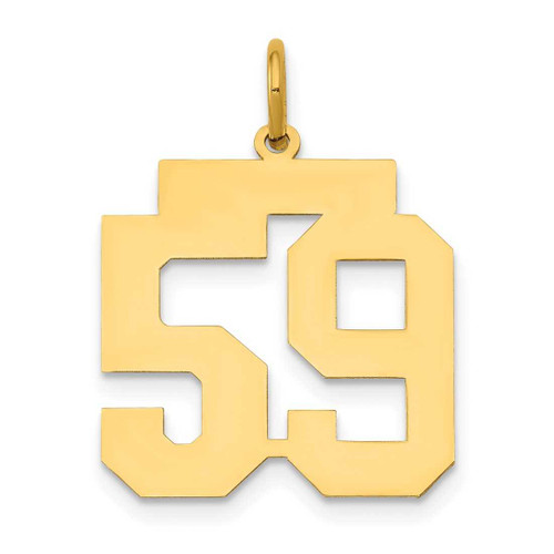 Image of 14K Yellow Gold Medium Polished Number 59 Charm LM59