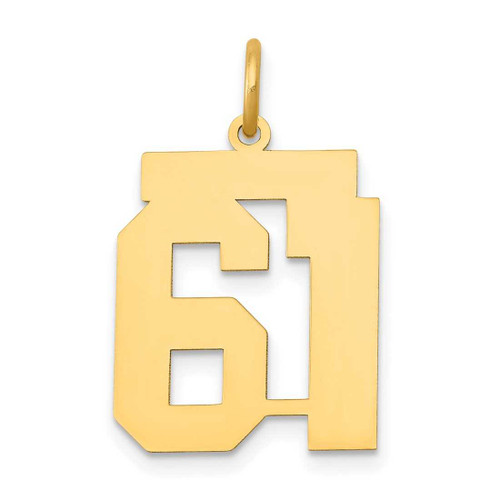 Image of 14K Yellow Gold Medium Polished Number 61 Charm LM61