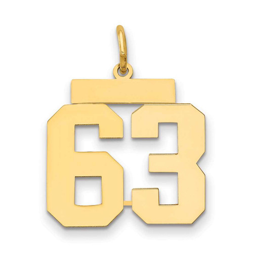 Image of 14K Yellow Gold Medium Polished Number 63 Charm LM63
