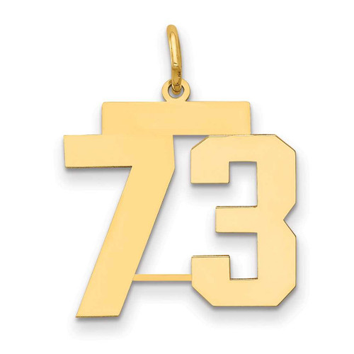 Image of 14K Yellow Gold Medium Polished Number 73 Charm LM73