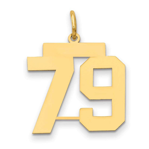Image of 14K Yellow Gold Medium Polished Number 79 Charm LM79