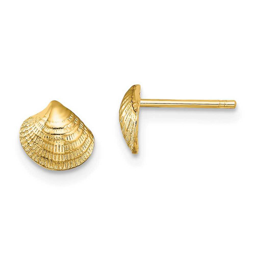 Image of 6.45mm 14K Yellow Gold Mini Clam Shell Stud Post Earrings