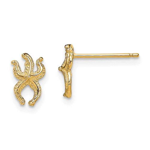 Image of 8.6mm 14K Yellow Gold Mini Starfish Post Earrings