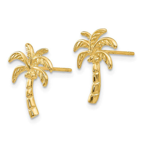 Image of 14mm 14K Yellow Gold Palm Tree Stud Post Earrings TM774