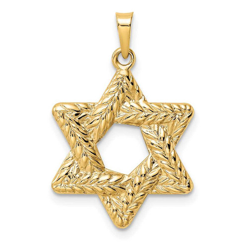 Image of 14K Yellow Gold Polished & Textured Solid Star of David Pendant XR1977
