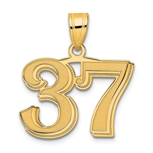 Image of 14K Yellow Gold Polished Etched Number 37 Pendant