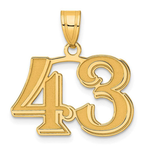 Image of 14K Yellow Gold Polished Etched Number 43 Pendant